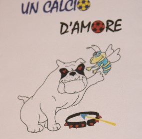 calcio d'amore (2)