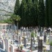cimitero_10703