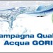 gori acea