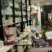 farmacia coomunale