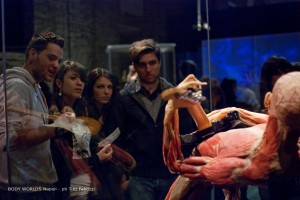 Body Worlds - Palazzo Fuga - Napoli 2012