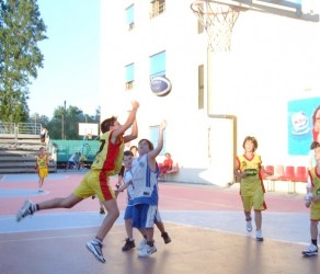 basket casoria