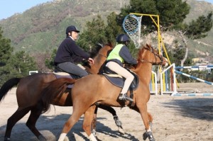Horse Ball