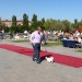 quattro zampe al parco