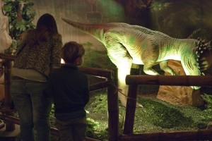 Days of Dinosaur - Real Albergo dei Poveri Napoli 2012