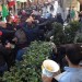corteo roma blocco studentesco contro ex aprea