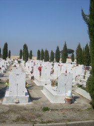 pollena cimitero