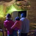 Days of Dinosaur - Real Albergo dei Poveri Napoli 2012