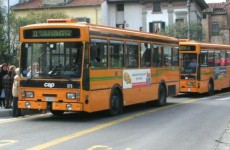 autobus autobus