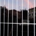tor pignattara corsi pdl - permessi costruzione