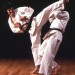 karate