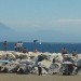 giornata dell'aria