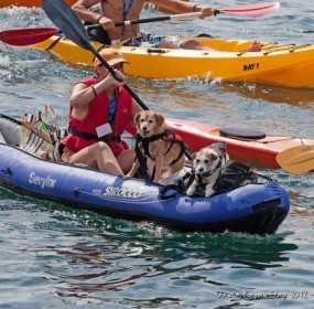 Kayak Day 2012