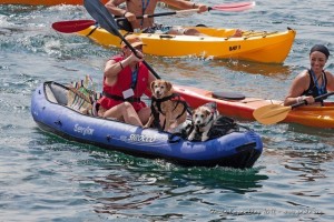 Kayak Day 2012