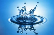 acqua acqua