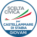 scelta civica