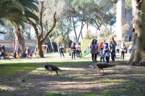 zoo napoli