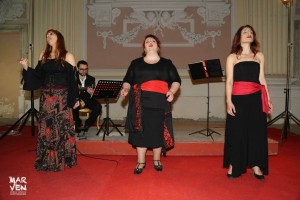 IMG_6120