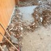 IMG-20170113-WA0000