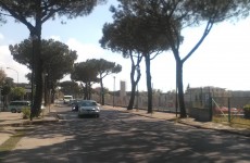 pini-secolari-via-europa pini-secolari-via-europa