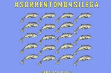 Salvini giovedì a Sorrento e scatta nascita 'fravagli' Salvini giovedì a Sorrento e scatta nascita 'fravagli'