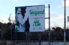 manifesto-cannabis-cicciano manifesto-cannabis-cicciano