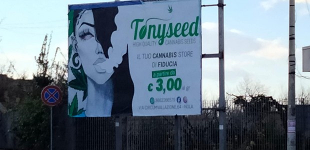 manifesto-cannabis-cicciano
